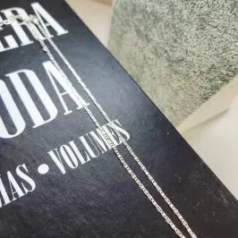 COLAR PRATA CHOKER CORRENTE CHAPADA