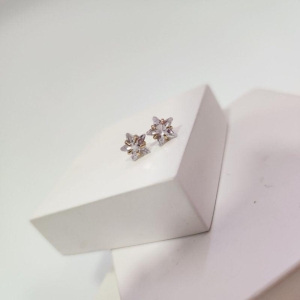 BRINCO OURO ESTRELA ZIRC G