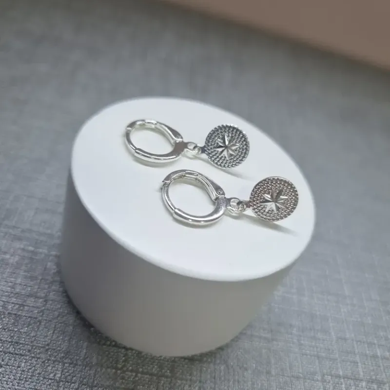 BRINCO PRATA ARGOLA ROSA DOS VENTOS