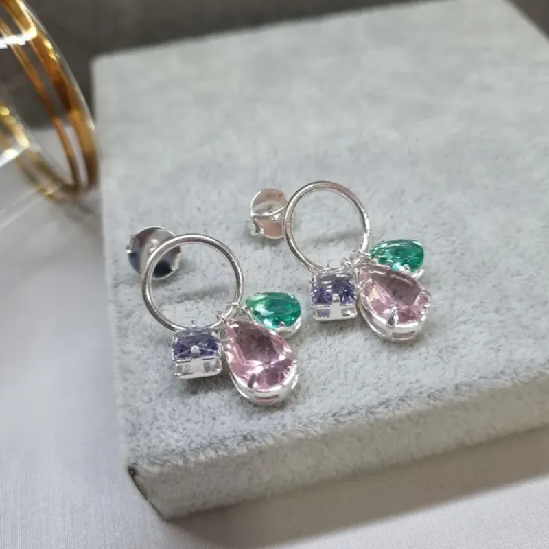 BRINCO PRATA CIRC COLOR