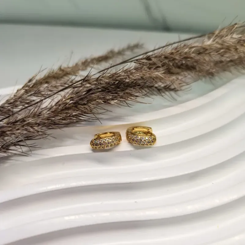 BRINCO OURO ARGOLA CLASS Z P