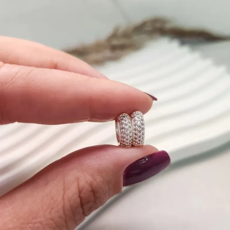 BRINCO PRATA ARGOLA CLASS Z P