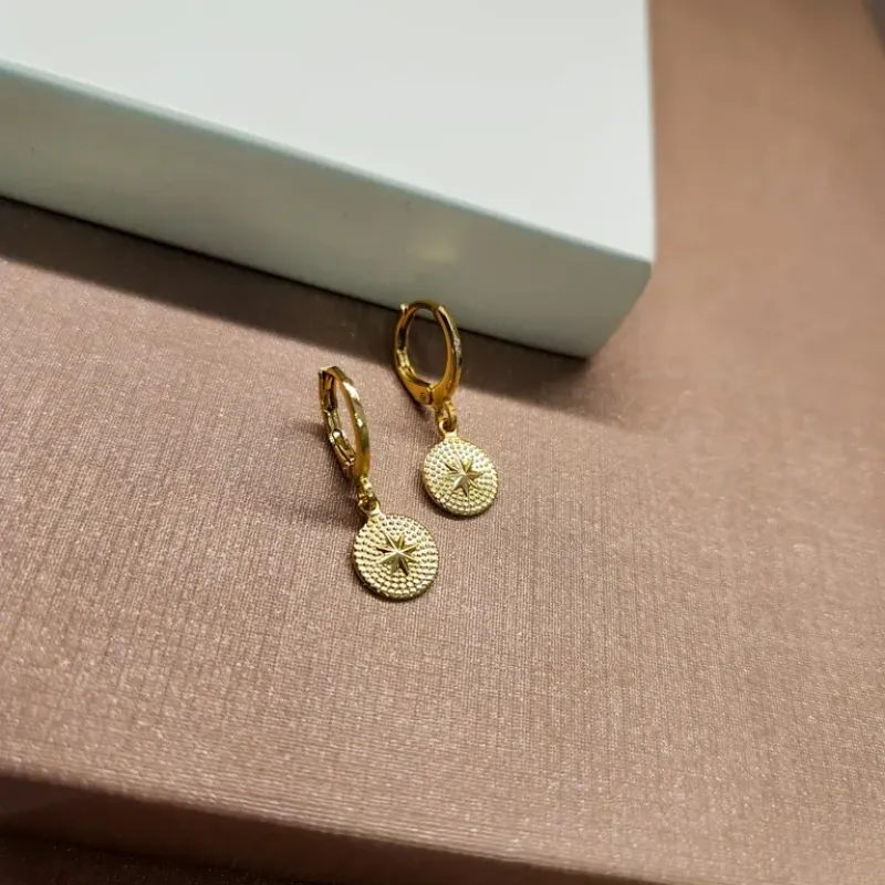 BRINCO OURO ARGOLINHA ROSA DOS VENTOS