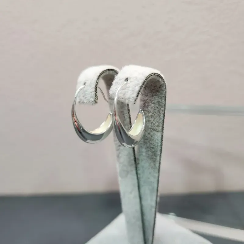 BRINCO PRATA ARGOLA LISA ENCAIXE