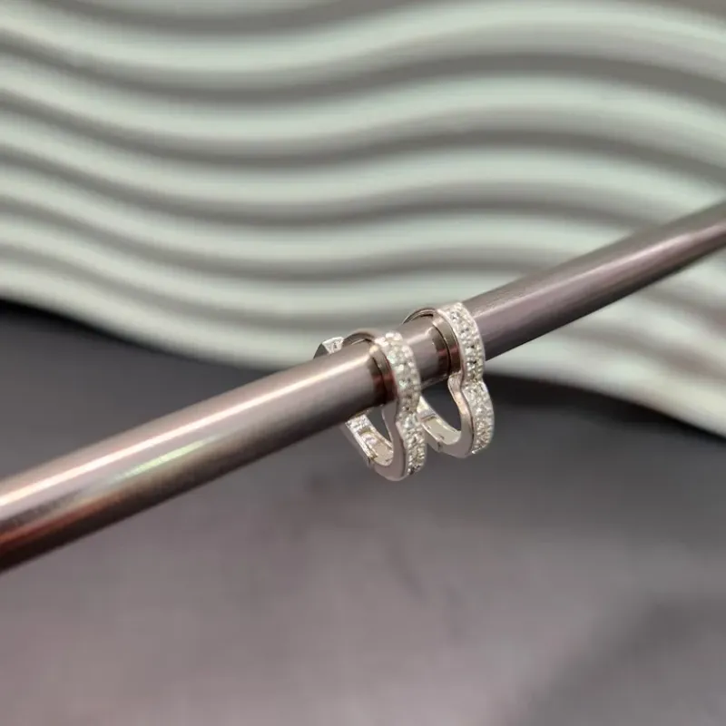 BRINCO PRATA ARGOLA COR Z P