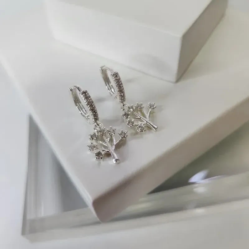 BRINCO PRATA ARG ARV D V