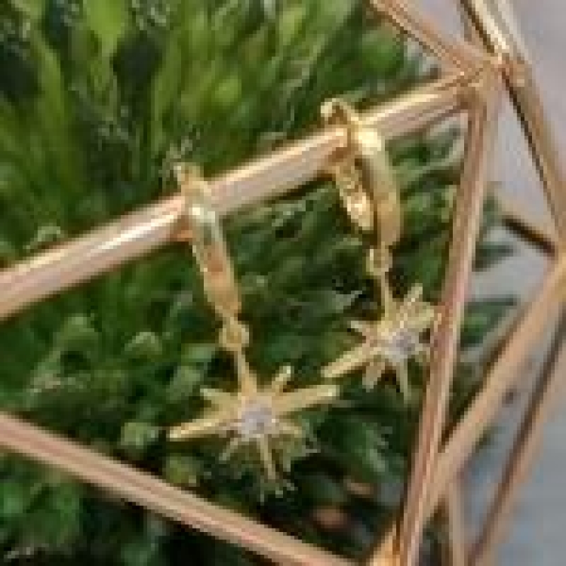 BRINCO OURO ARGOLA FLASH 1 Z	