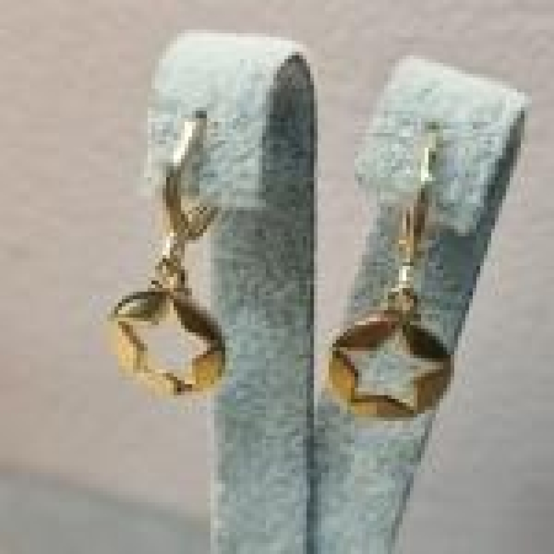 BRINCO OURO ARGOLINHA  ESTRELA VAZ	