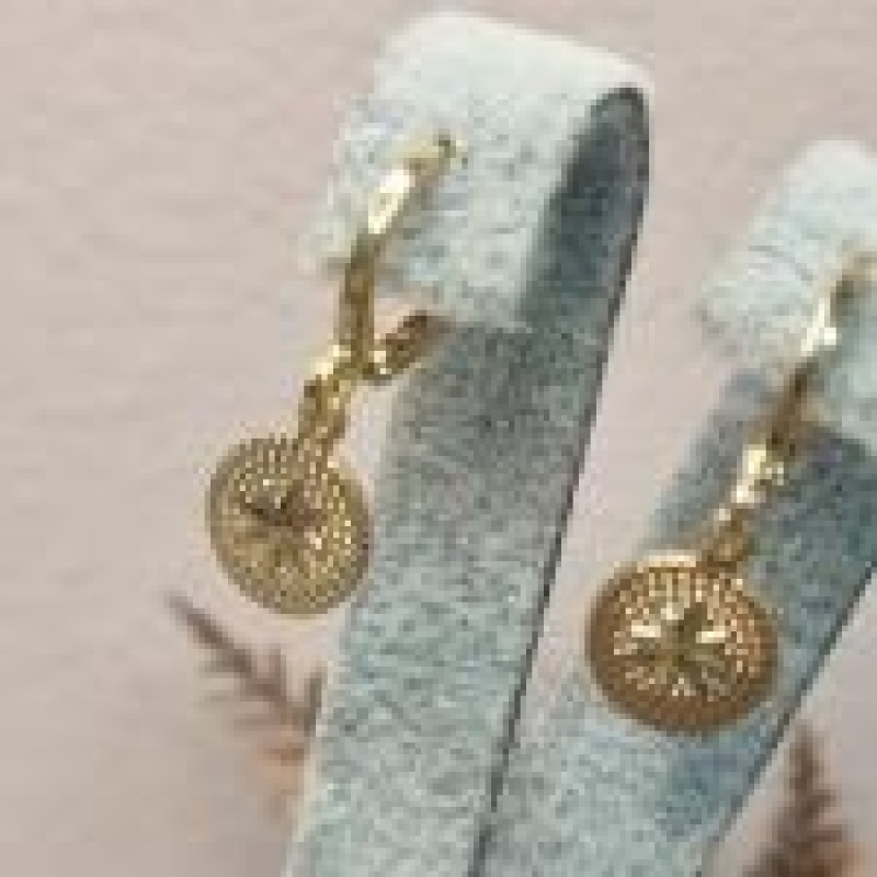 BRINCO OURO ARGOLINHA ROSA DOS VENTOS