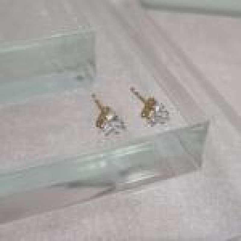 BRINCO OURO CRISTAL  TM	