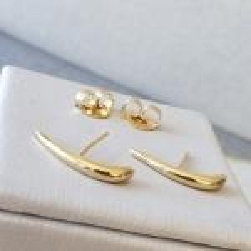 BRINCO OURO EAR HOOK LISA