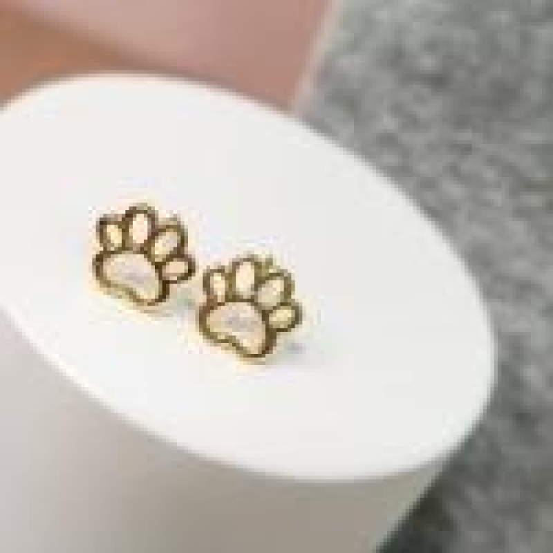 BRINCO OURO PATA VAZ