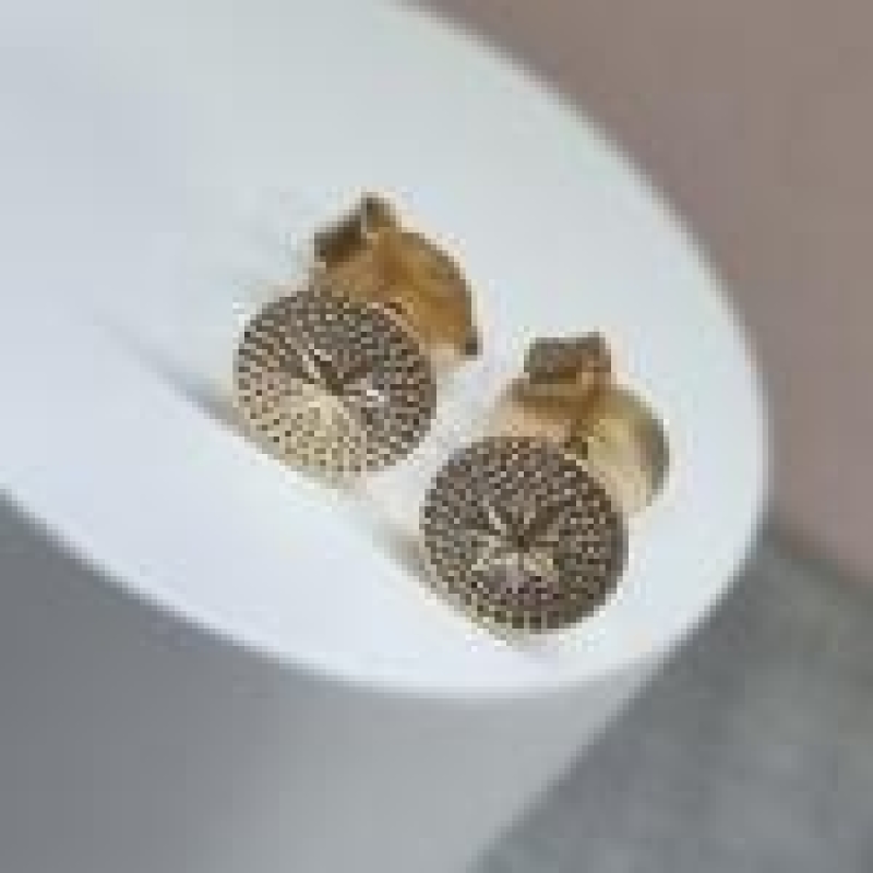 BRINCO OURO ROSA DOS VENTOS