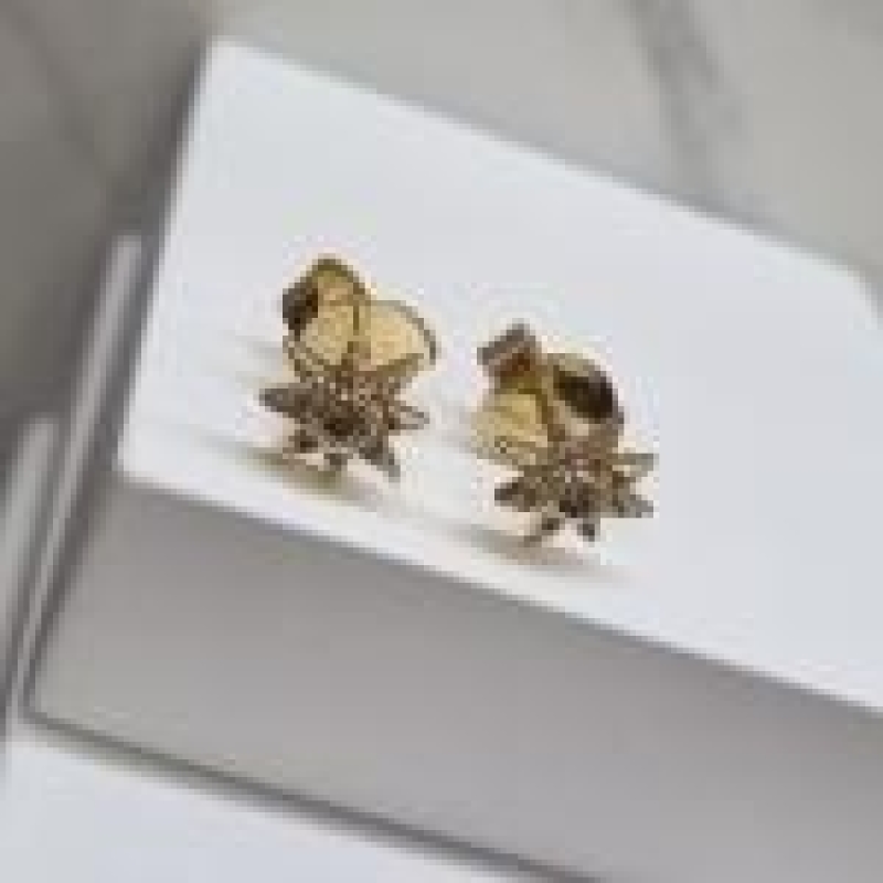 BRINCO OURO STAR LUXO P	