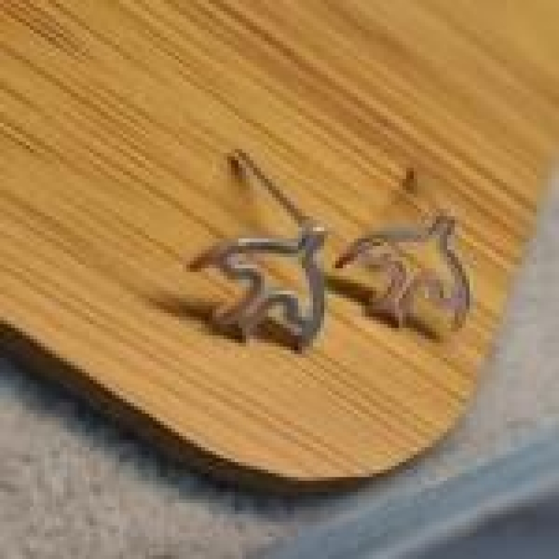 BRINCO PRATA ANDORINHA VAZADA