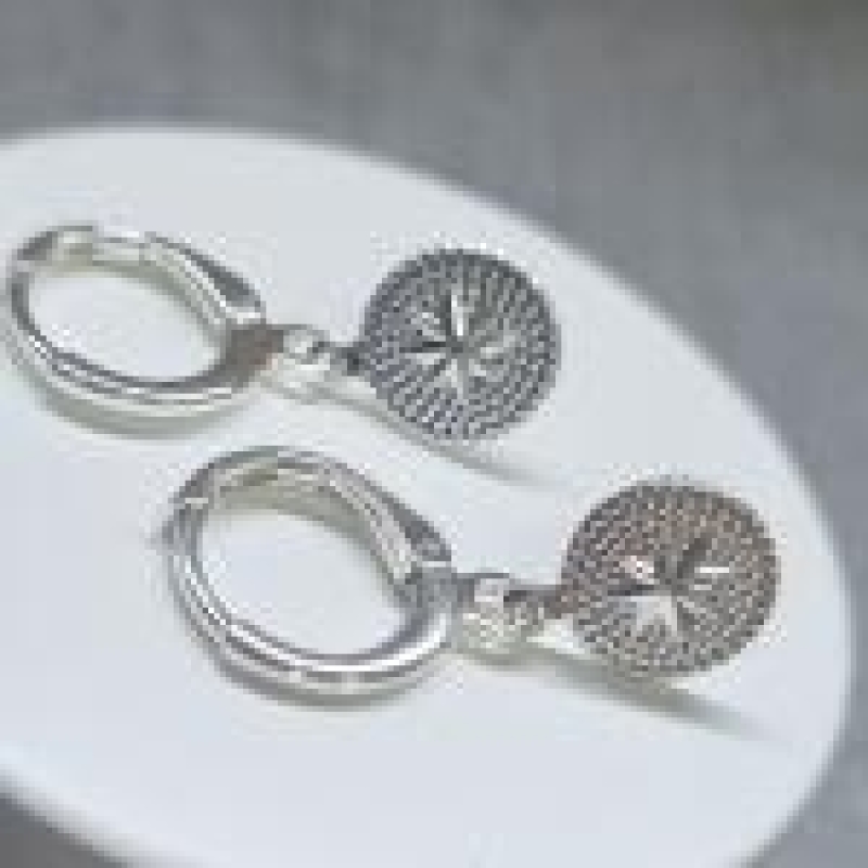 BRINCO PRATA ARGOLA ROSA DOS VENTOS