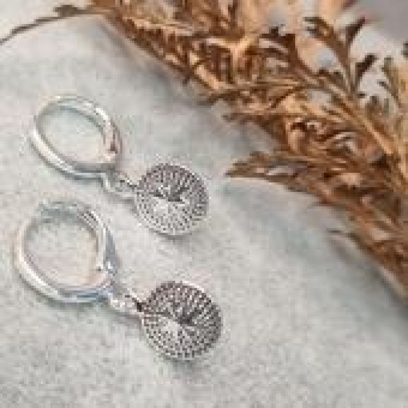 BRINCO PRATA ARGOLINHA ROSA DOS VENTOS