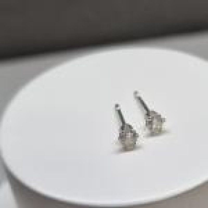 BRINCO PRATA CRISTAL CIRCULO	