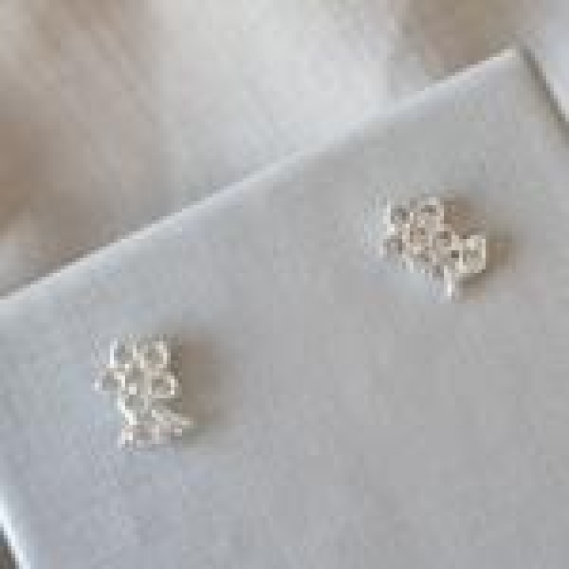 BRINCO PRATA FLOR ZIRC CABO