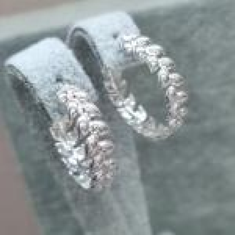 BRINCO PRATA FOLHAS	
