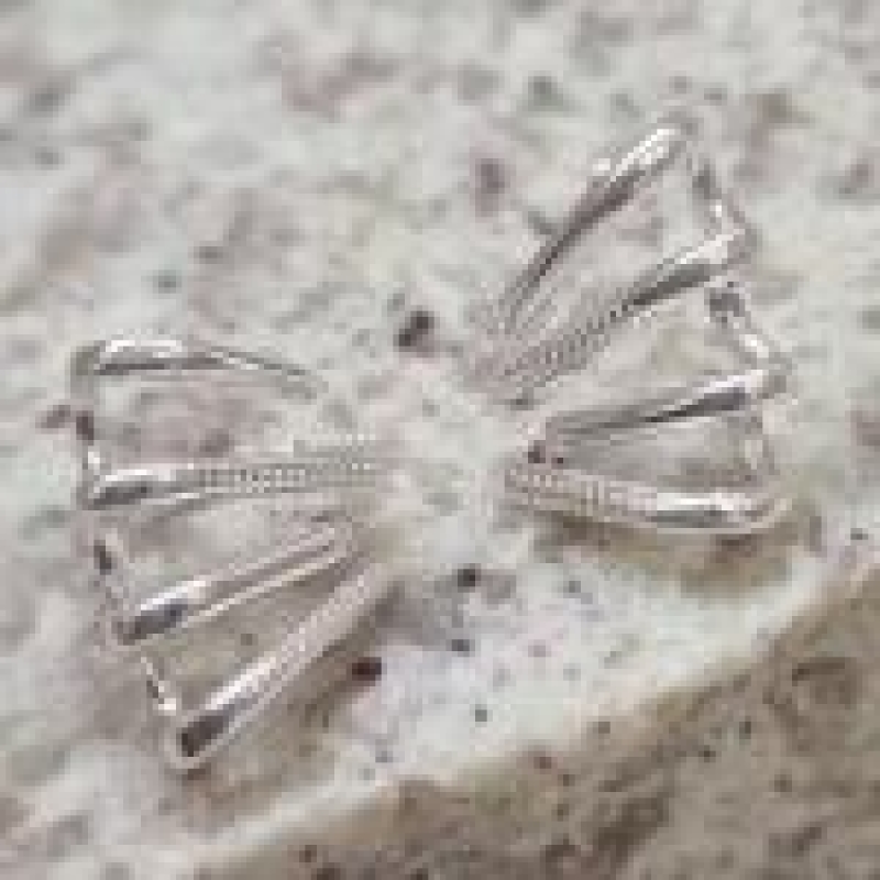 BRINCO PRATA GARRAS	
