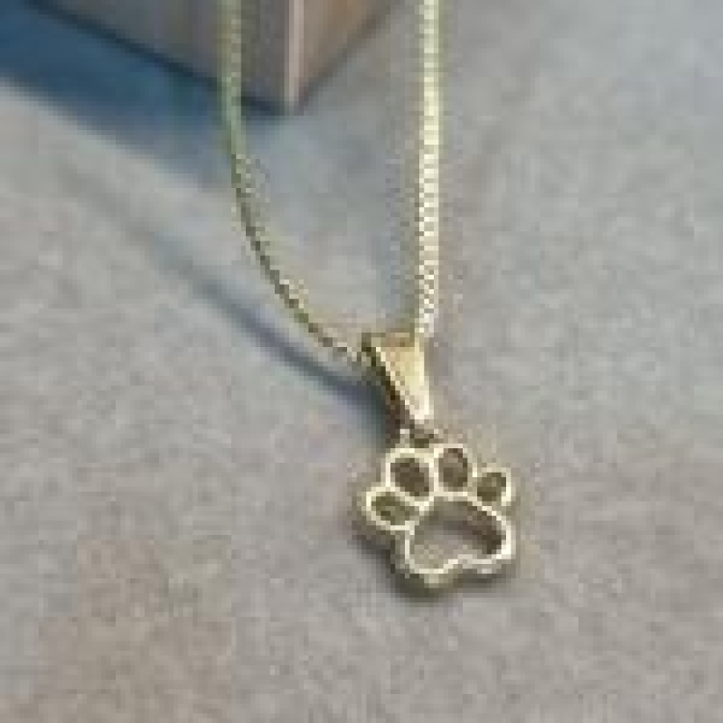 COLAR OURO PATA PET	