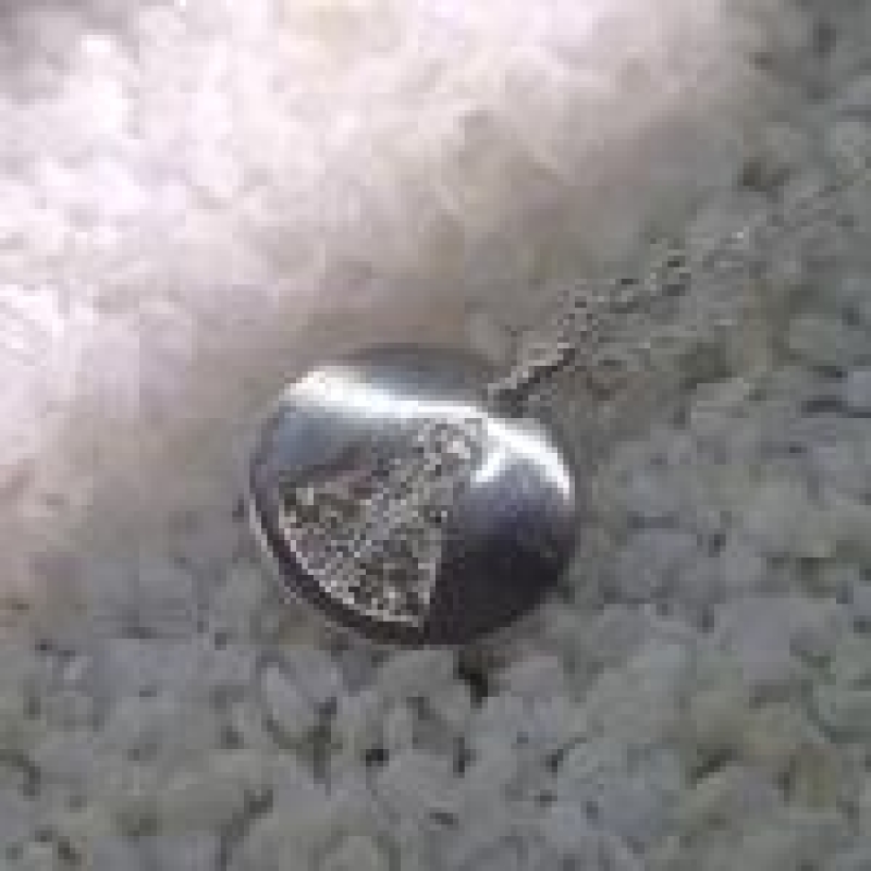 COLAR PRATA MEDALHA NS