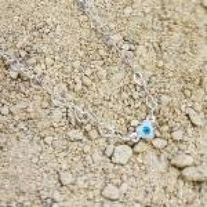 TORNOZELEIRA PRATA CORAÇÃO OLHO GREGO