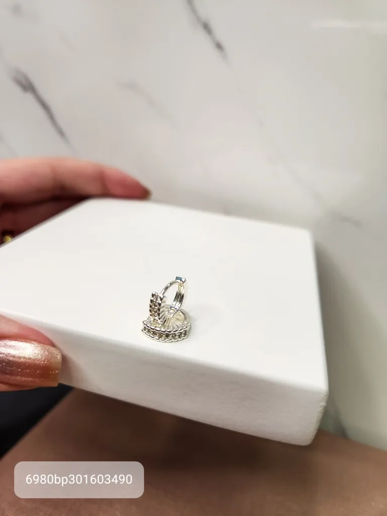 BRINCO ARGOLA PRATA P OND Z