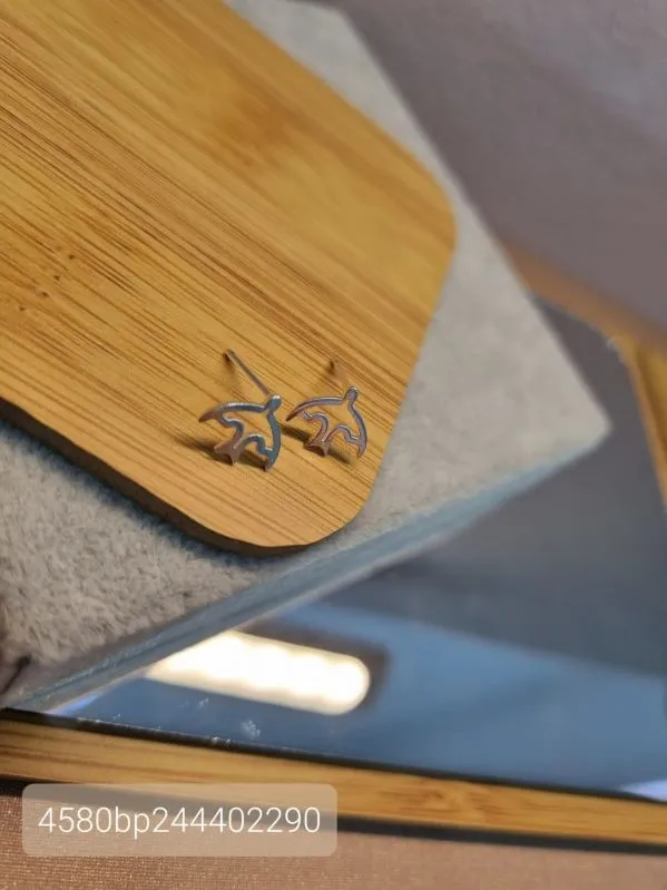 BRINCO PRATA ANDORINHA VAZADA