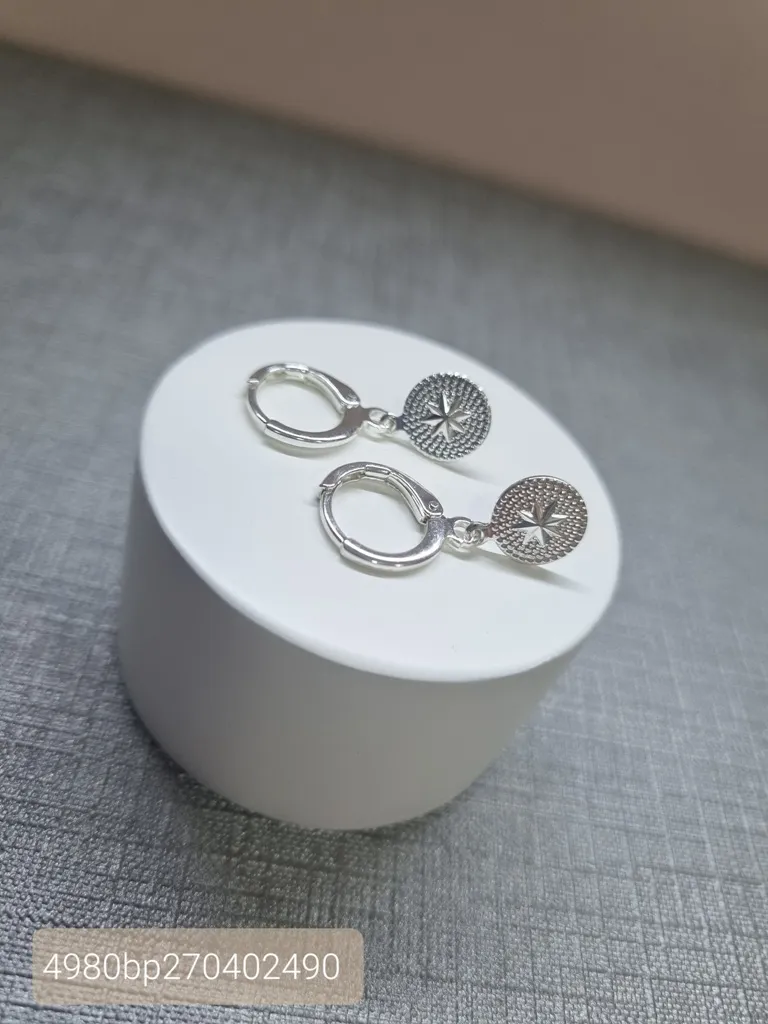 BRINCO PRATA ARGOLA ROSA DOS VENTOS