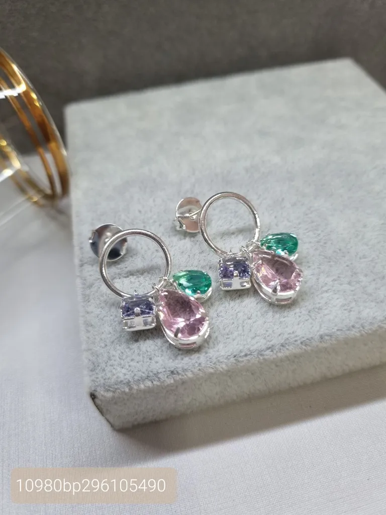 BRINCO PRATA CIRC COLOR