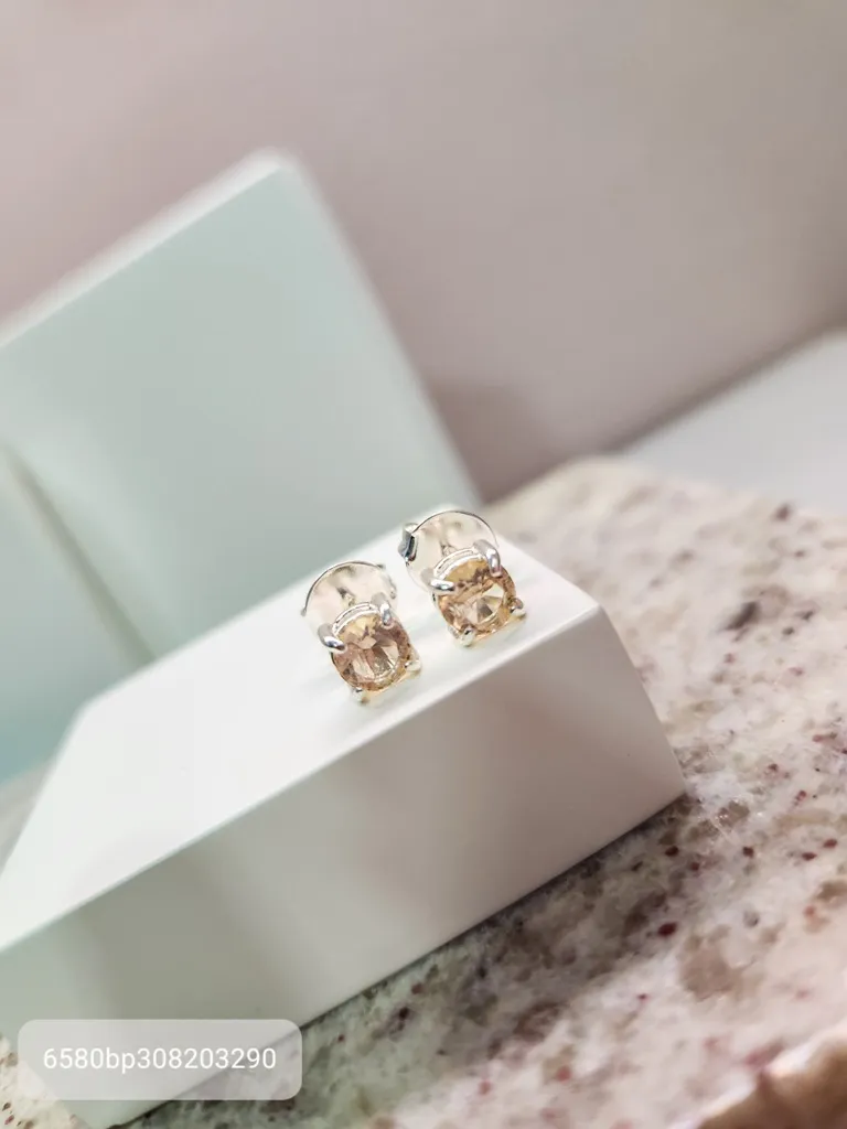 BRINCO PRATA CIRCULO P MORGANITA