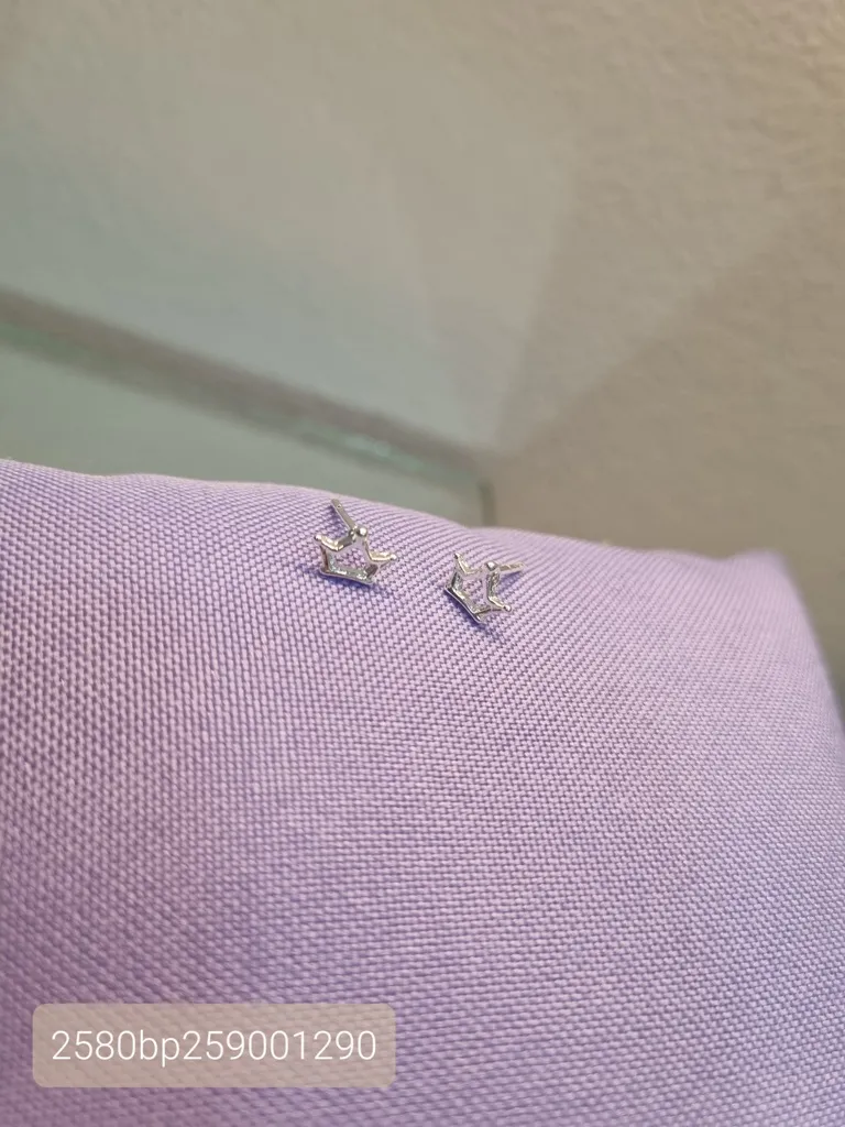 BRINCO PRATA COROA VAZADA