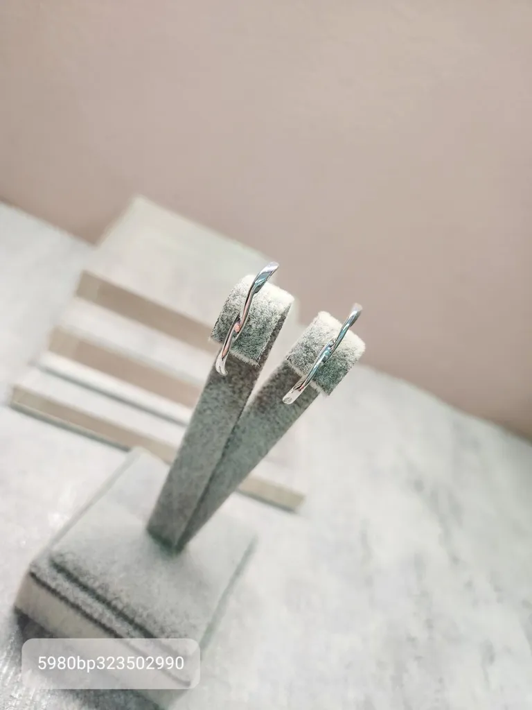 BRINCO PRATA EAR HOOK TORCIDO