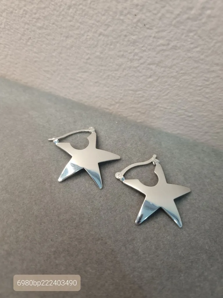 BRINCO PRATA EARG ESTRELA CHAPADA