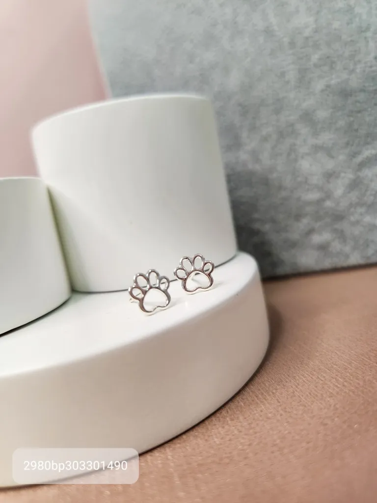 BRINCO PRATA PATA VAZ