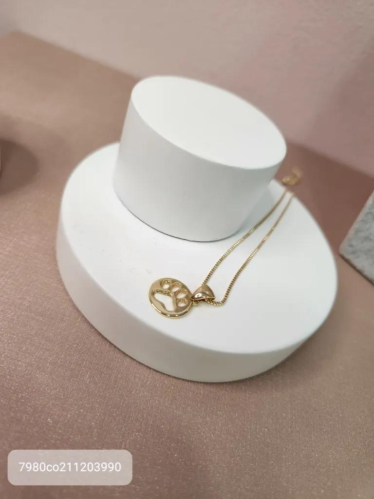 COLAR OURO PATA VAZADA circulo