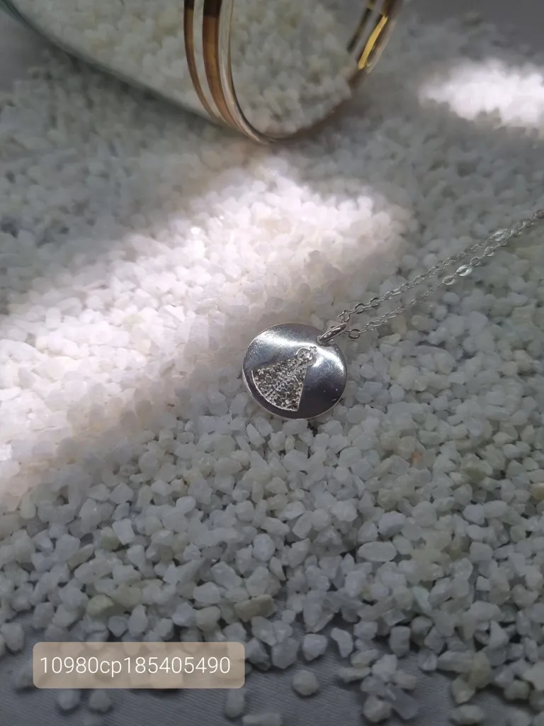 COLAR PRATA MEDALHA NS