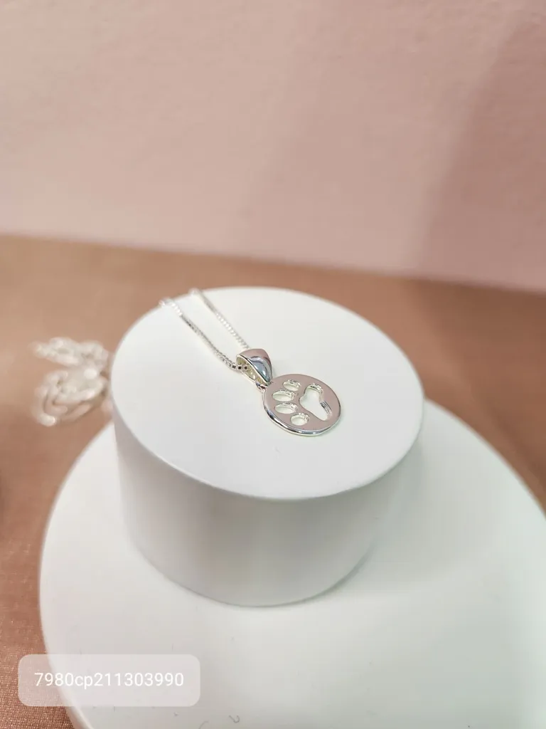 COLAR PRATA PATA VAZADA circulo