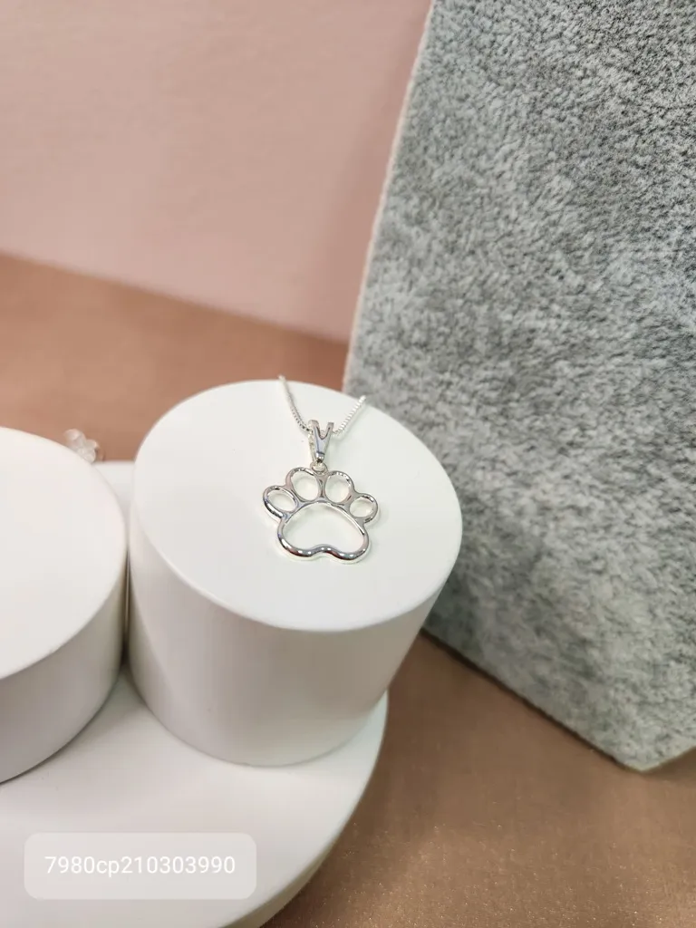 COLAR PRATA PATA VAZADA G