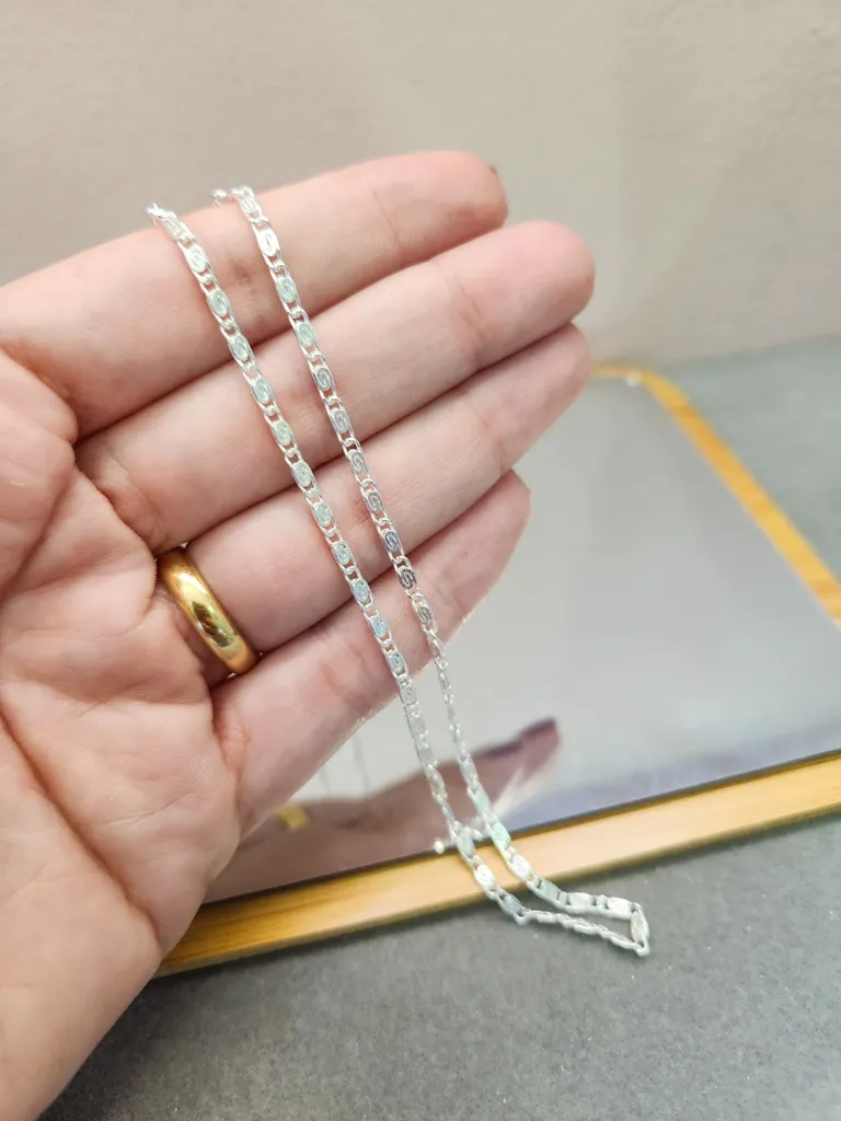 COLAR PRATA CORR CHAP CARACOL