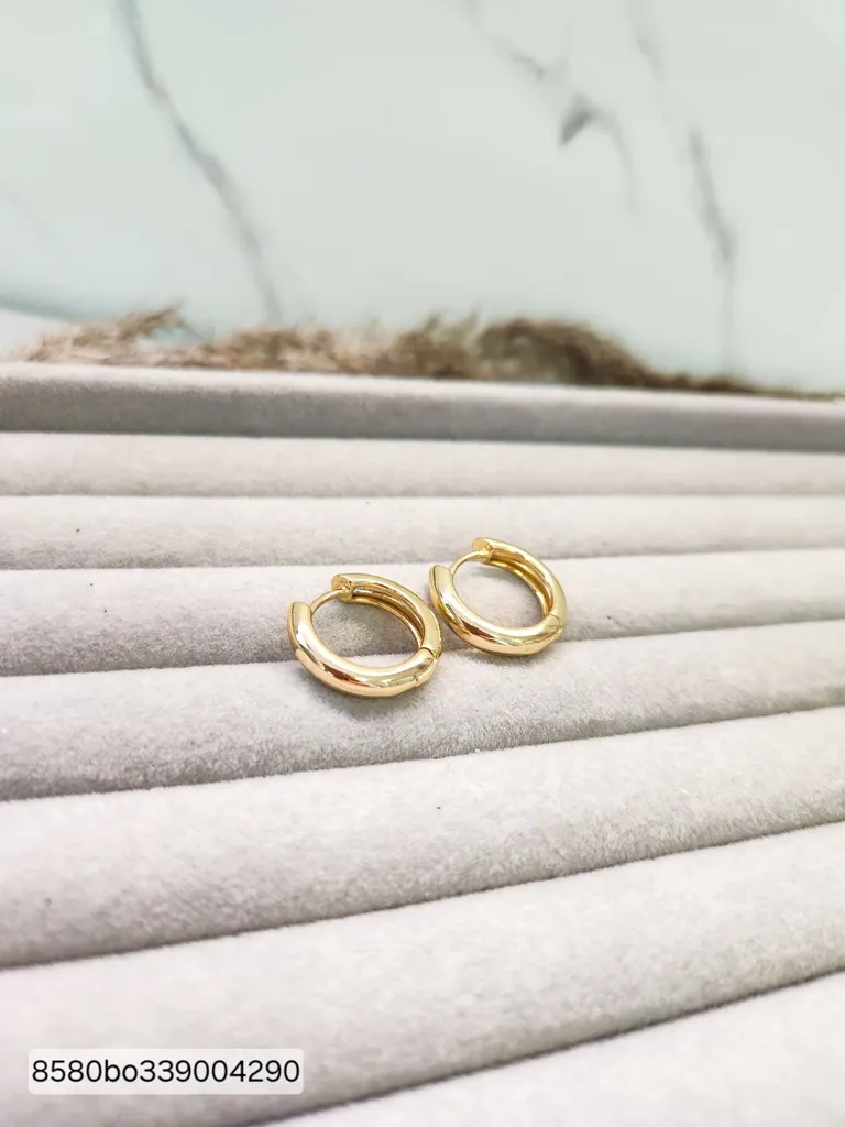 BRINCO OURO ARGOLA CLASS L G