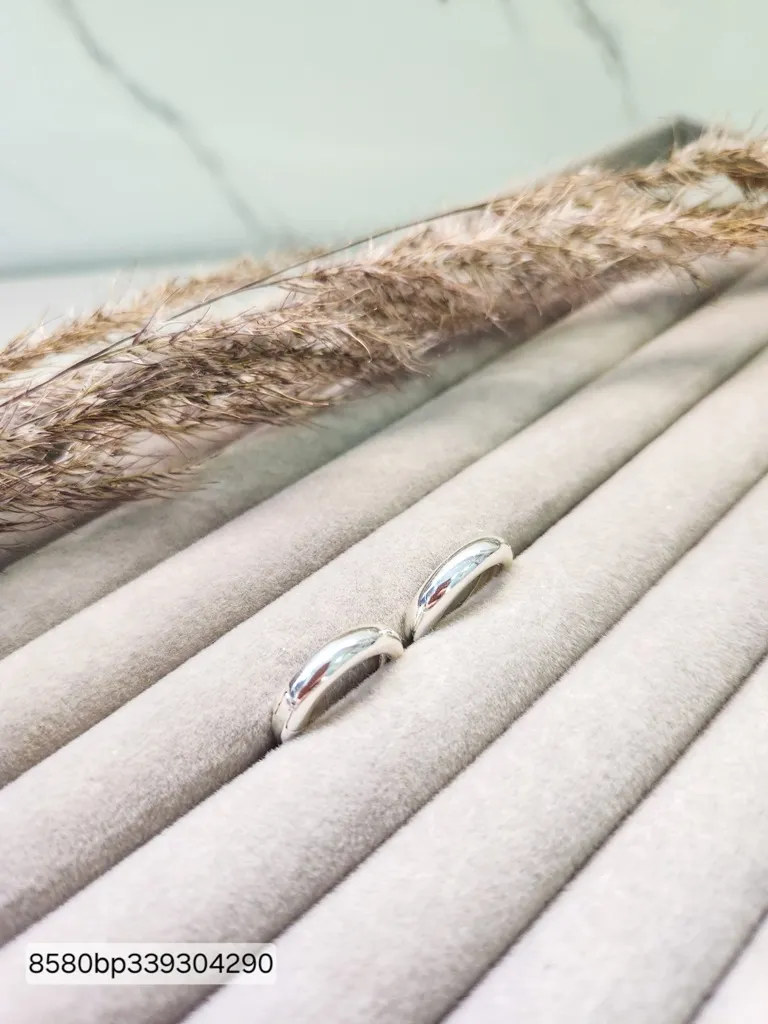 BRINCO PRATA ARGOLA CLASS L G