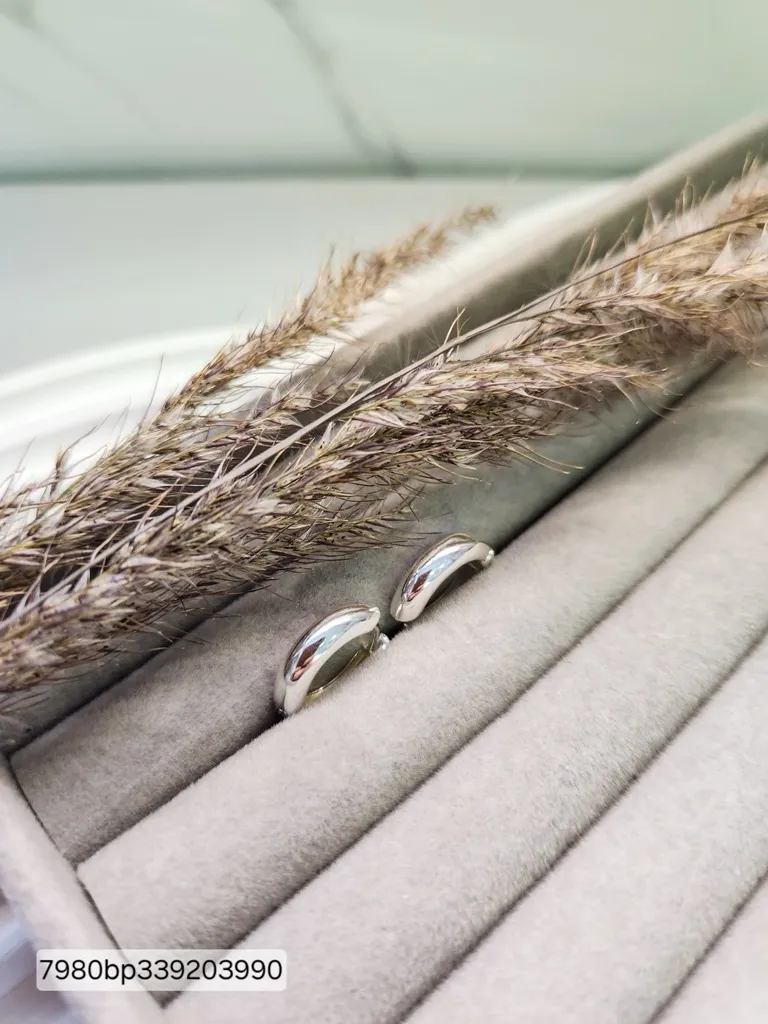 BRINCO PRATA ARGOLA CLASS L M