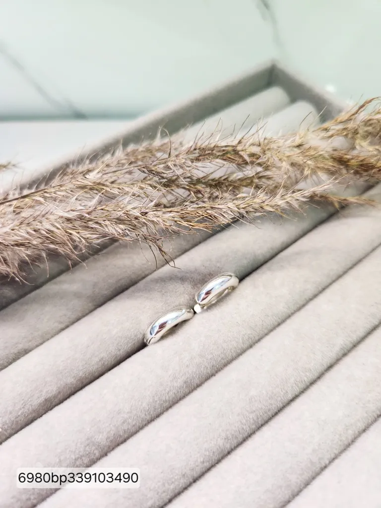 BRINCO PRATA ARGOLA CLASS L P