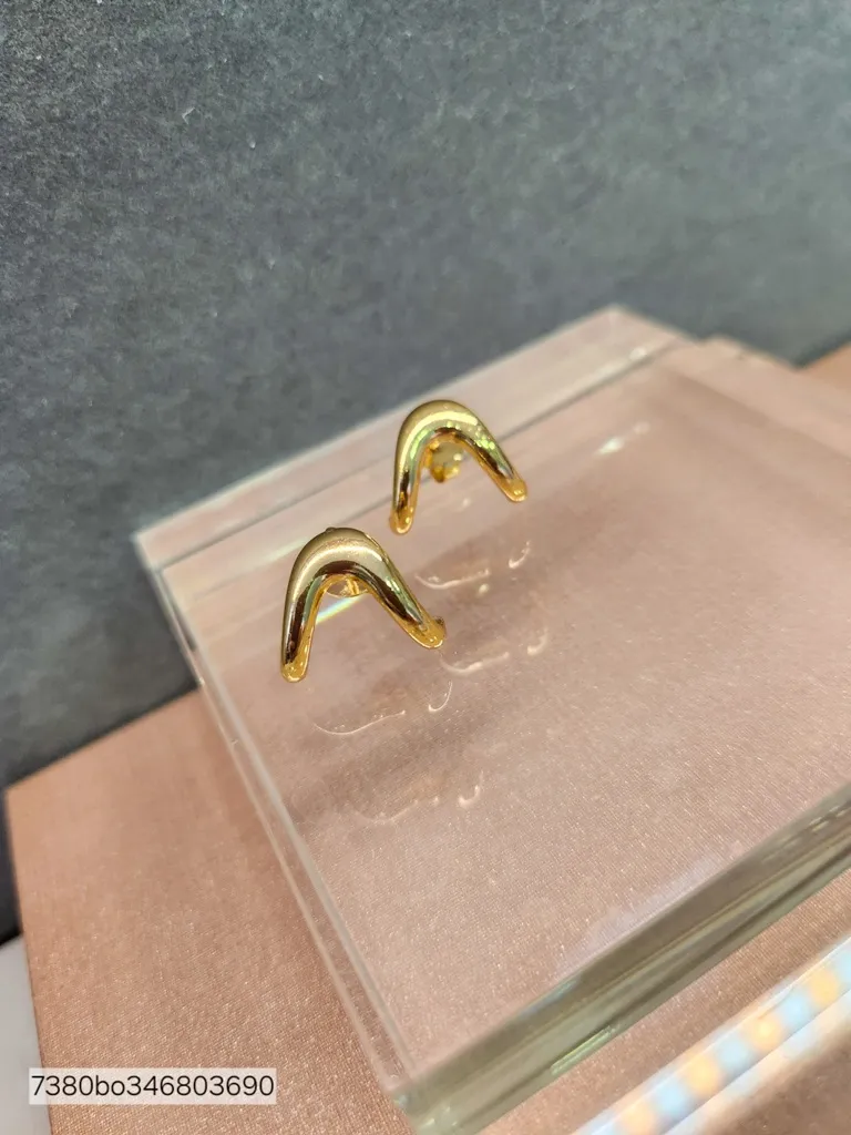 BRINCO OURO EAR HOOK 2 GARRAS LISA