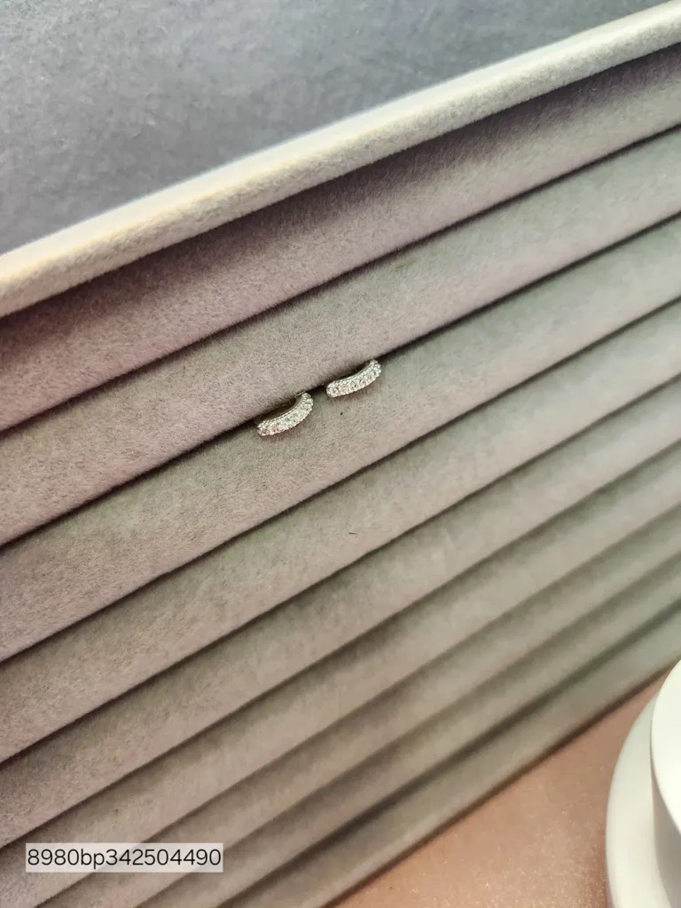 BRINCO PRATA ARGOLA CLASS 1 FILA P