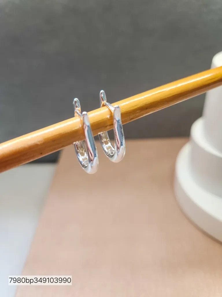 BRINCO PRATA ARGOLA PONTAS G