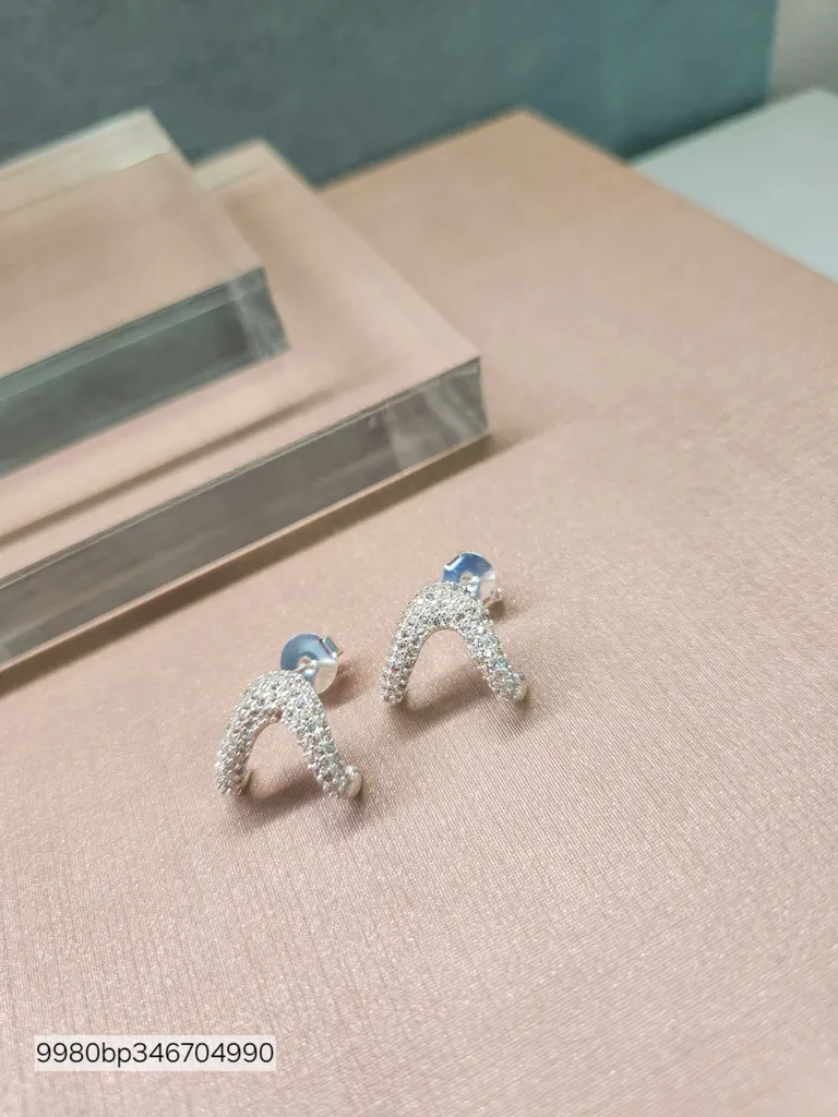 BRINCO PRATA EAR HOOK 2 GARRAS ZIRC